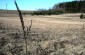 The execution site of 27 to 40 Jewish men from Švenčionys, murdered in July 1941, on the outskirts of Cirkliškis, near the road linking Švenčionys and Vilnius. ©Kate Kornberg/Yahad - In Unum
