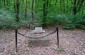 Execution site of the Bohuslav Jews. ©Les Kasyanov/Yahad – In Unum