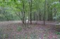 The execution      site of 340 Labun Jews murdered in the forest in the period from July to September 1941.  Execution site n°2; ©Les Kasyanov/Yahad-In Unum