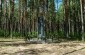 The execution place of Jews in the forest close to Daraganovo. © Aleksey Kasyanov/Yahad - In Unum