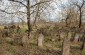 The Jewish cemetery in Stanislavchyk. ©Les Kasyanov/Yahad - In Unum