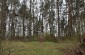 The execution site of 70 Jews of Linkmenys, murdered in mid-July 14, 1941 by a Lithuanian squad of white armbanders in the meadow near the Dvariškės village. ©Cristian Monterroso/Yahad - In Unum