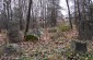 The former Jewish cemetery. © Aleksey Kasyanov - Yahad - In Unum