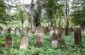 The surviving tombstones at the Jewish cemetery in Pechera. ©Les Kasyanov/Yahad - In Unum.