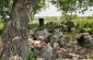 The Jewish cemetery in Rozhysche. © Ellénore Gobry -Yahad-In Unum