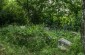 The old Jewish cemetery. ©Les Kasyanov/Yahad - In Unum