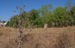 Old Jewish cemetery in Bershad. ©Les Kasyanov/Yahad - In Unum