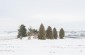 Execution site in a field north of Stare Misto. Here, on June 6, 1943, between 1,200 and 2,000 Jews were shot in two large mass graves. A memorial stone was erected at the site. ©Les Kasyanov/Yahad – In Unum