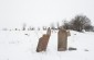 The remaining tombstones at the Jewish cemetery in Ozeriany. ©Les Kasyanov/Yahad - In Unum