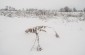 Execution site of about 15 Jews in the vegetable garden. Later, the house of the Ternavskyi family was built there. There is no memorial. Execution site n°3©Les Kasyanov/Yahad-In Unum